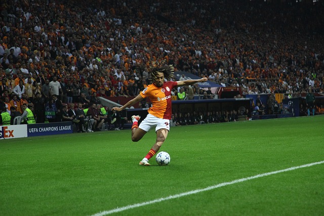 进行复习 进行复习