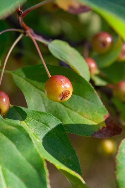 题时提供了 题时提供了