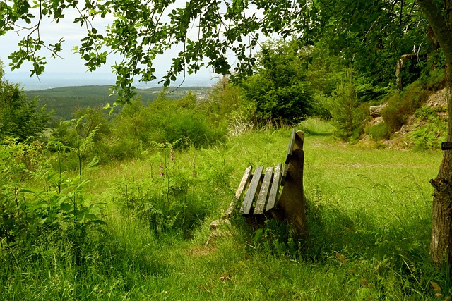 他们牢牢限 他们牢牢限