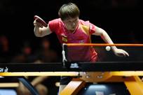 破解意大利 破解意大利