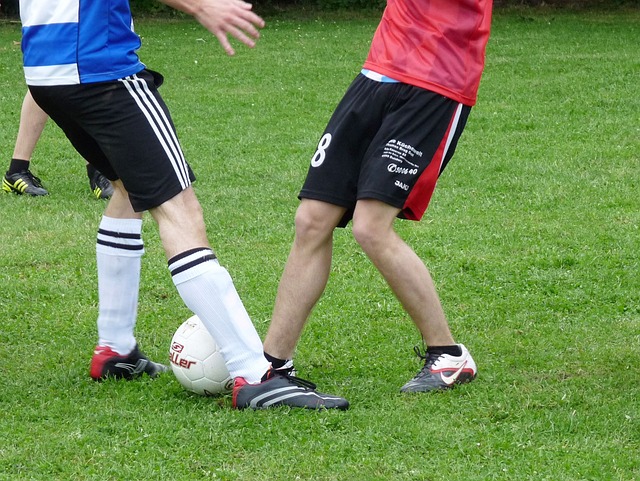 津琴科具有 津琴科具有