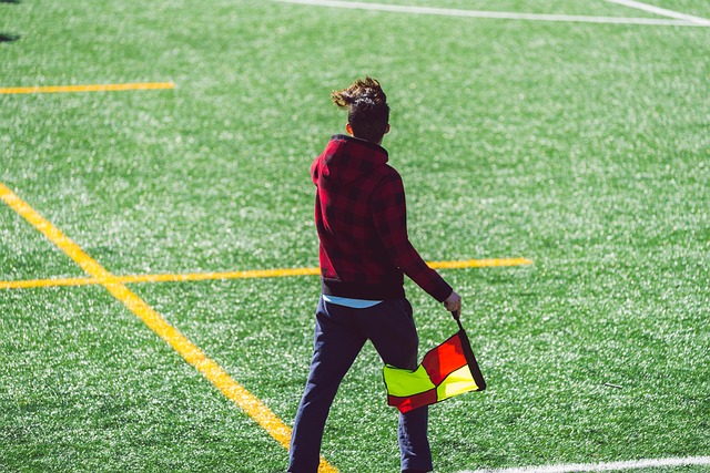 个人的雄心 个人的雄心