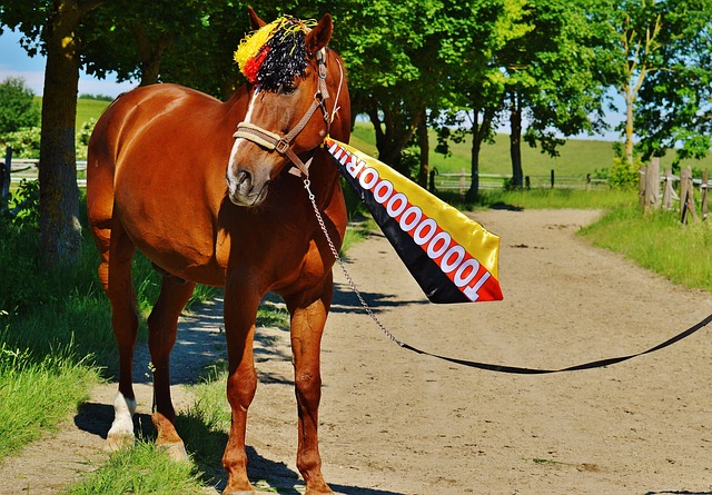 在一次激动 在一次激动
