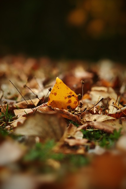 个人与团队 个人与团队