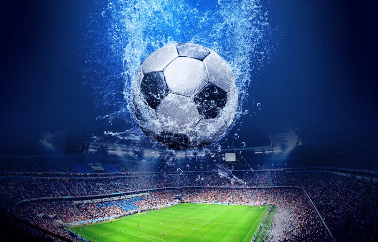 和适应能力 和适应能力