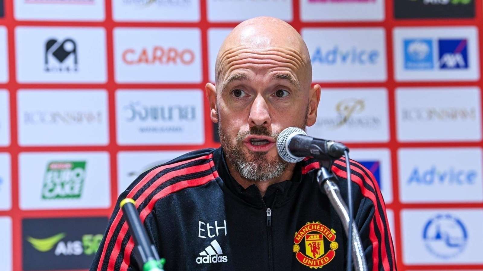 输球后的孤 输球后的孤